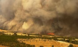 Çanakkale Orman Yangınında Evler Hasar Gördü, Köyler Boşaltıldı