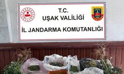 Uşak'ta Yapılan Operasyonda Uyuşturucu Madde Ele Geçirildi