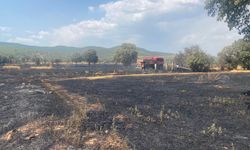 Uşak’ta 100 Dönüm Buğday Tarlası Yandı