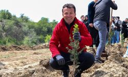 Barış Metin’den Maden Projesine Tepki