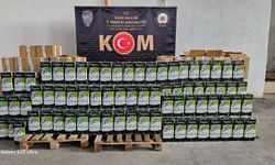 Uşak’ta karışımlı zeytinyağı operasyonu