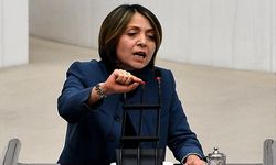 CHP’li Akagün: “Doğal hakim ilkesi ihlal ediliyor”