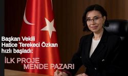Başkan Vekili Terekeci hızlı başladı: İlk proje Mende