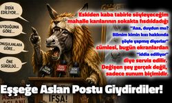 Eşşeğe Aslan Postu Giydirdiler!