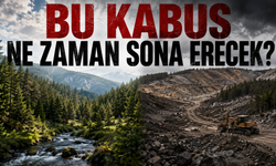 FUNDA ÖZ AKCURA: UŞAK'TAKİ BU KABUS NE ZAMAN SONA ERECEK?