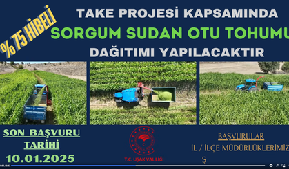 Uşak'ta Çiftçilere %75 Hibeli Sorgum Sudan Otu Tohumu Dağıtımı Başlıyor!