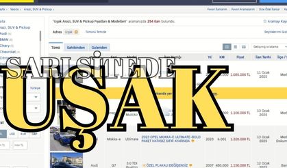 Uşak'ta Araç Piyasası: Hangi Marka Zirvede?