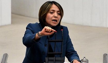 CHP’li Akagün: “Doğal hakim ilkesi ihlal ediliyor”
