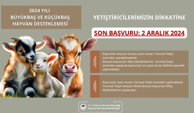 2024 Yılı Büyükbaş ve Küçükbaş Hayvan Desteklemesi Başvuruları Başladı