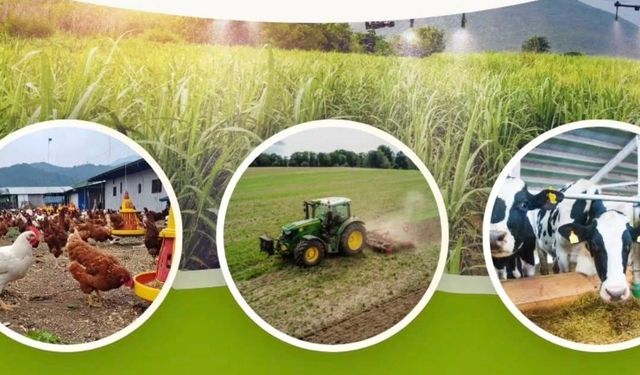 Uşak’ta Tarımda Yeni Destek Dönemi Başlıyor