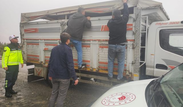 Uşak’ta Şap Hastalığına Karşı Kritik Denetim