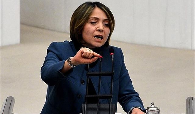 CHP’li Akagün: “Doğal hakim ilkesi ihlal ediliyor”