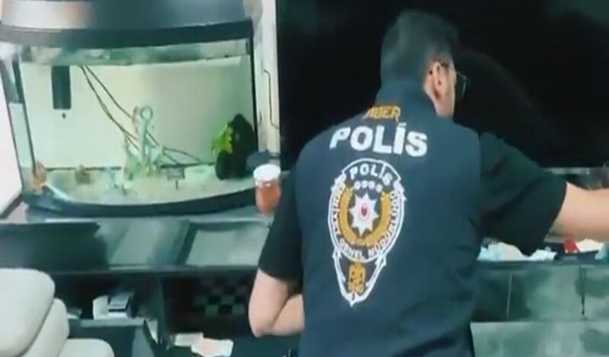 170 Siber Şüpheli Yakalandı